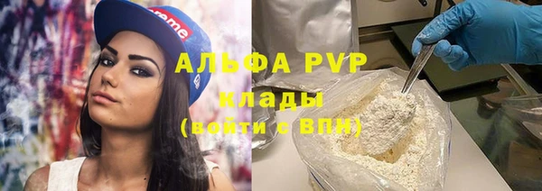 стаф Алзамай