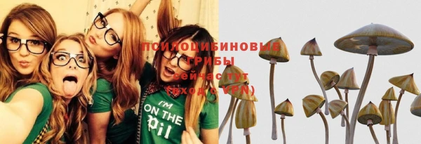 ешки Сафоново