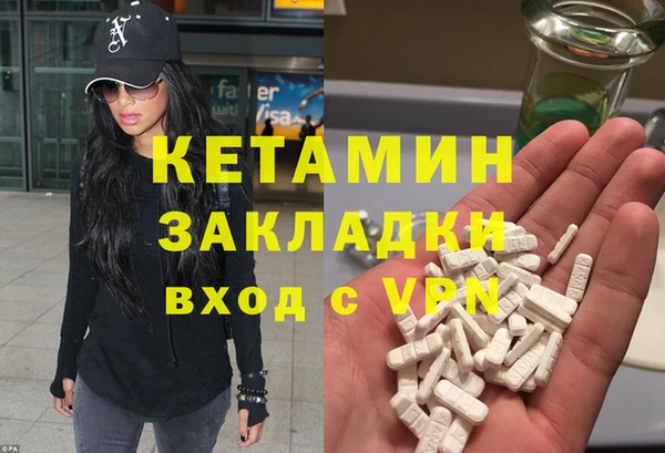 стаф Алзамай