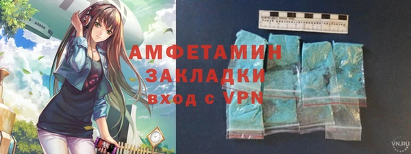 стаф Алзамай