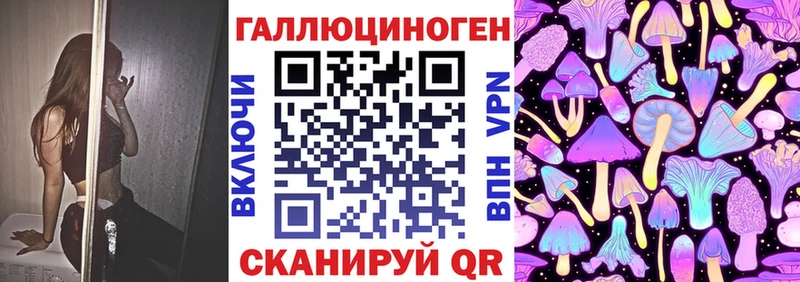 дарк нет какой сайт  Миньяр  Псилоцибиновые грибы прущие грибы 